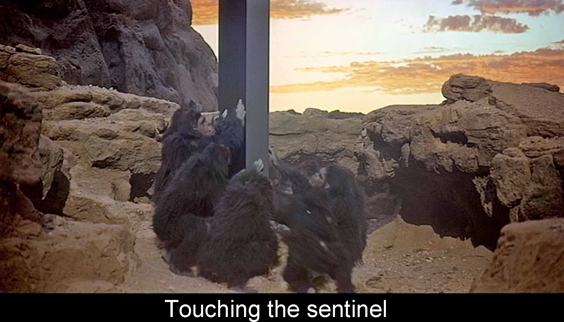 Touching the sentinel