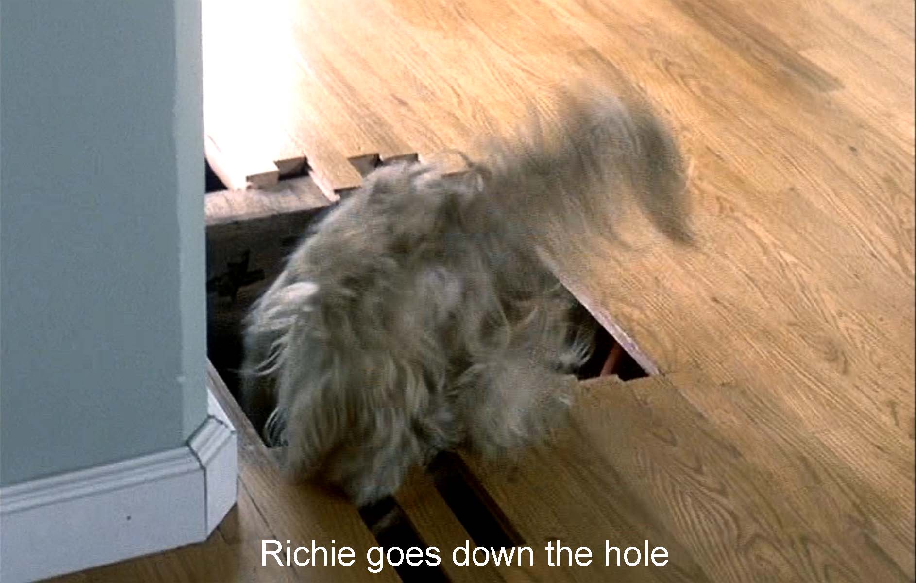 Richie goes down the hole