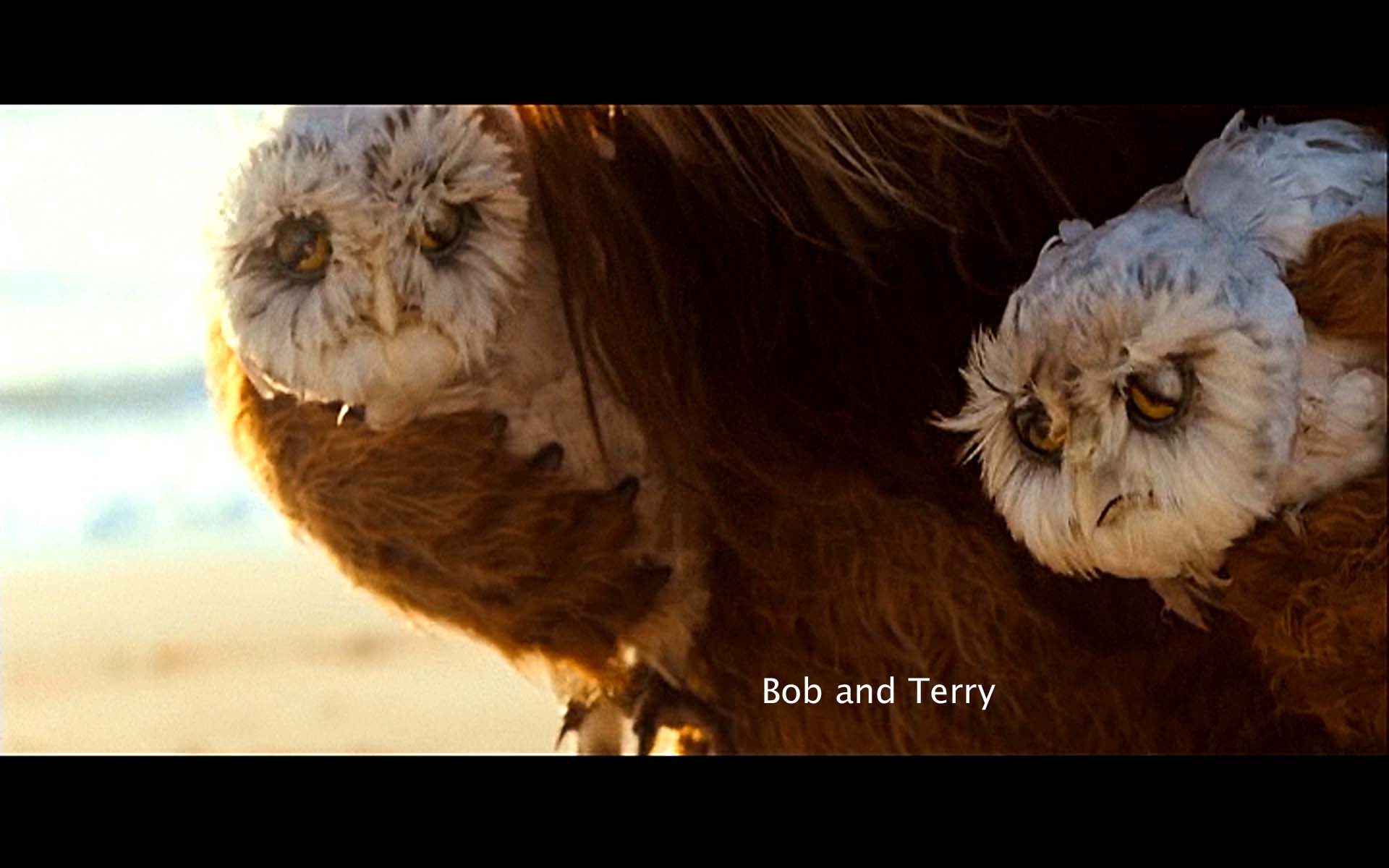Bob and Terry