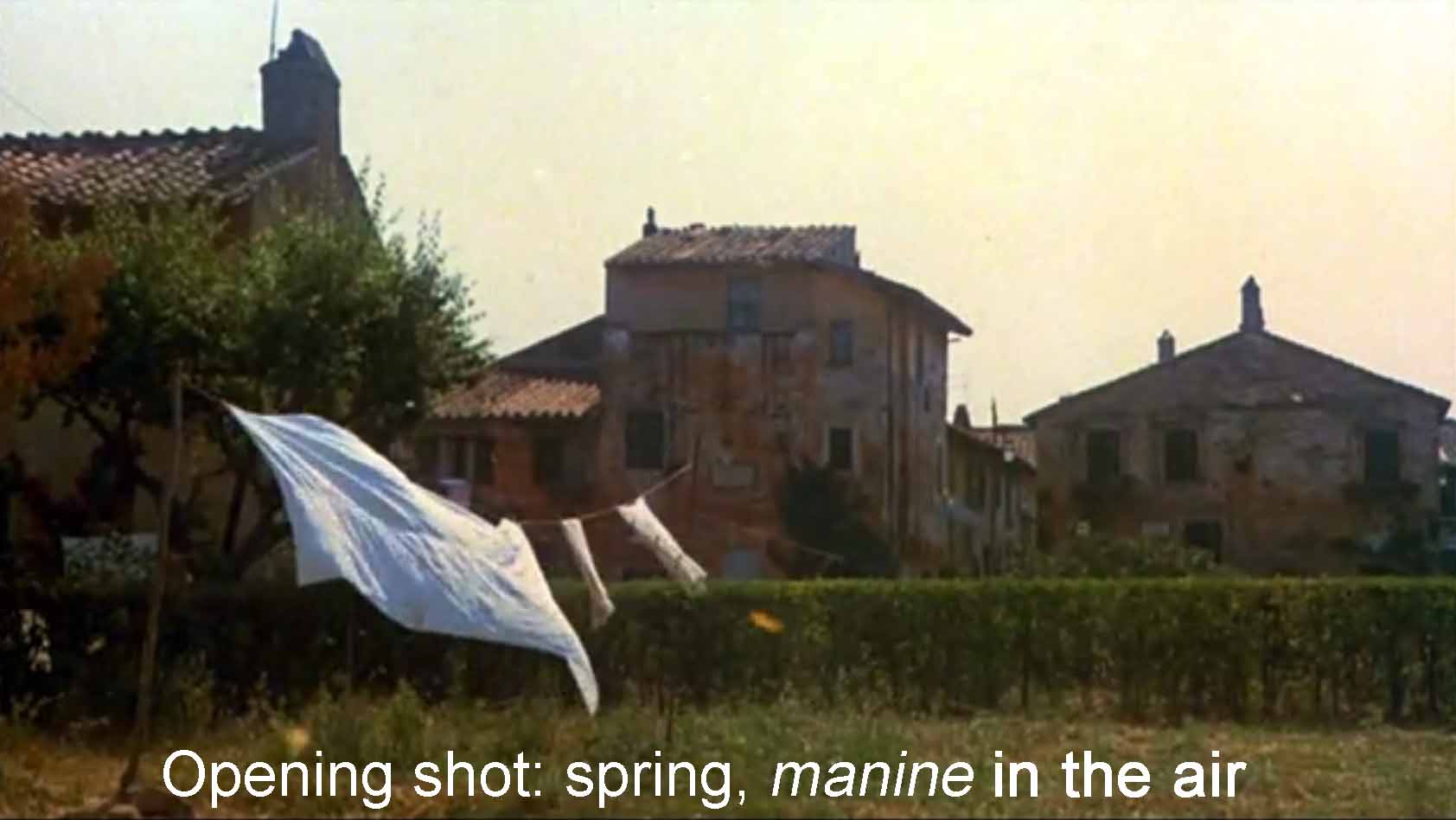 Opening shot: spring, manine in the air