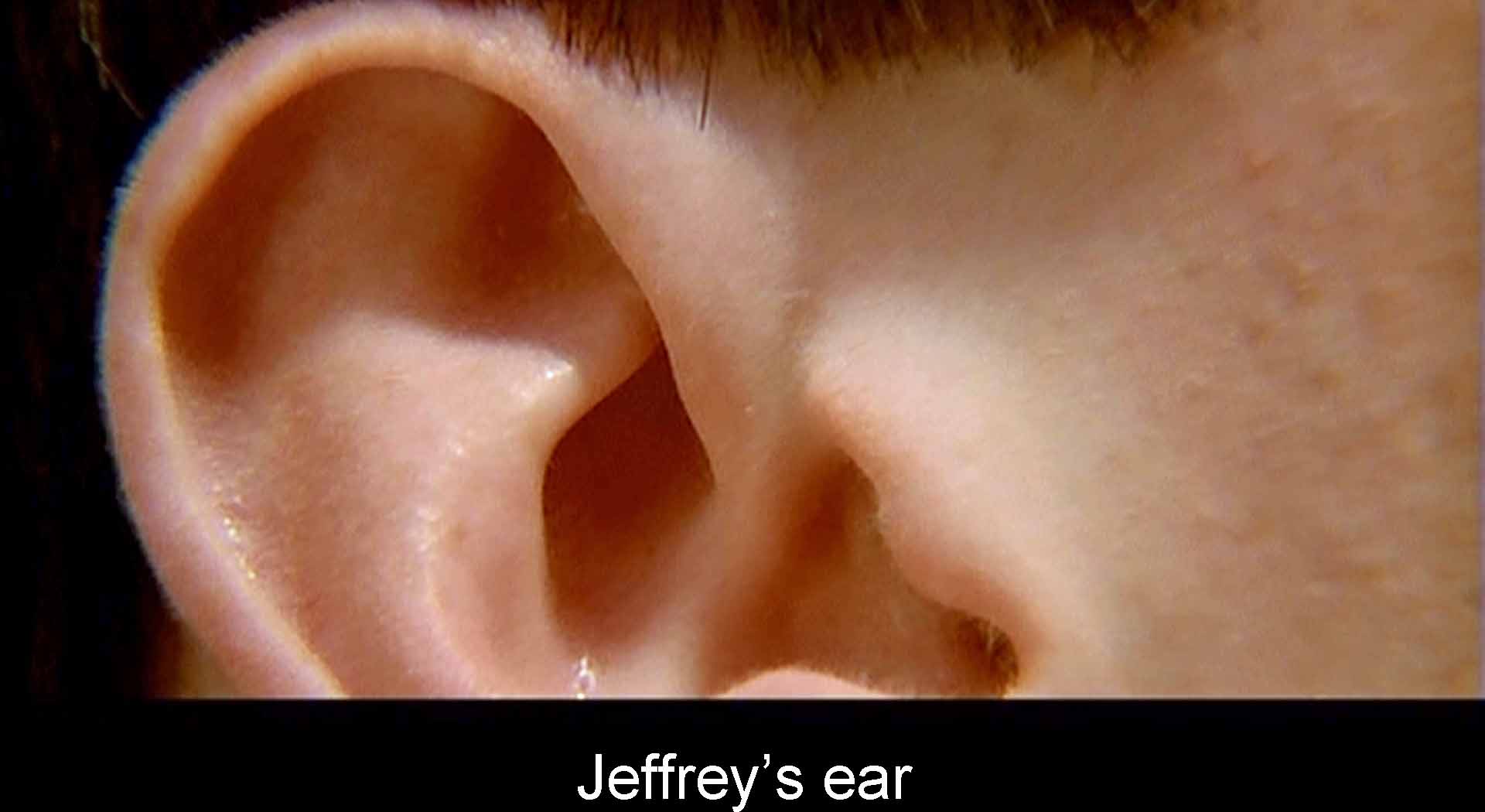 Jeffrey’s ear