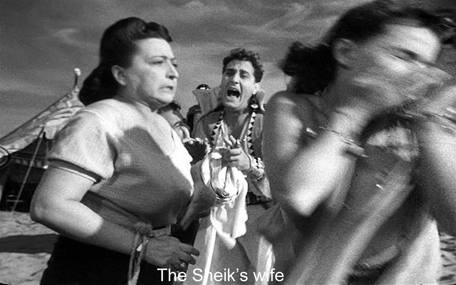 The Sheik's wife