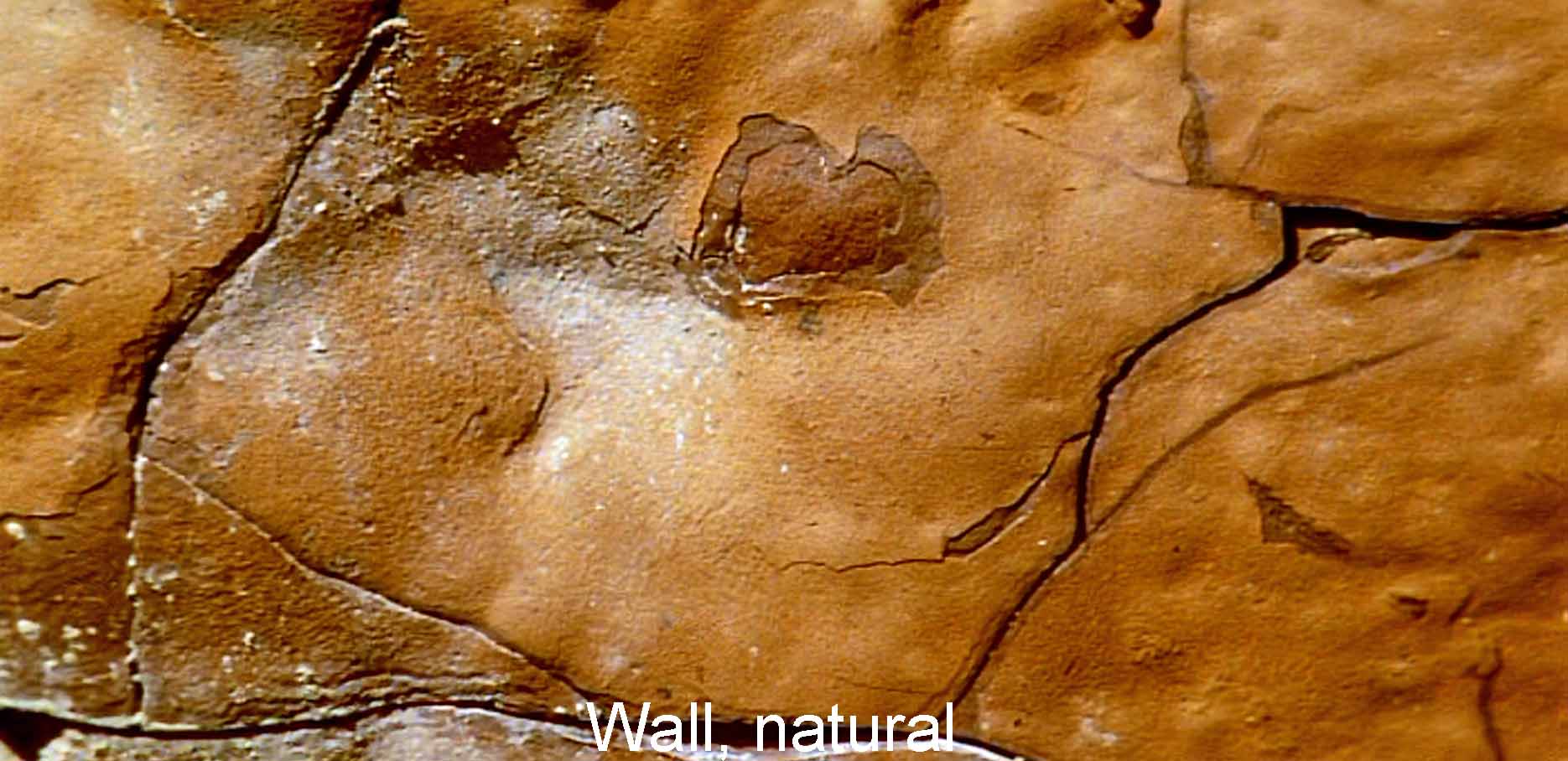 Wall, natural